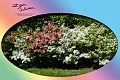 27 05 13_2969_edited-1